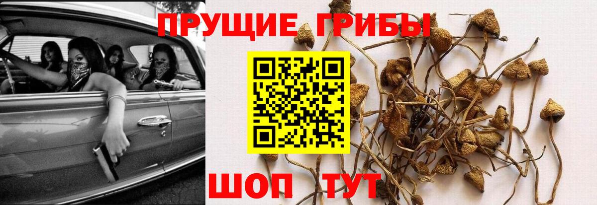 купить наркотики цена  Галлюциногенные грибы прущие грибы  Вход с VPN  Ялта 