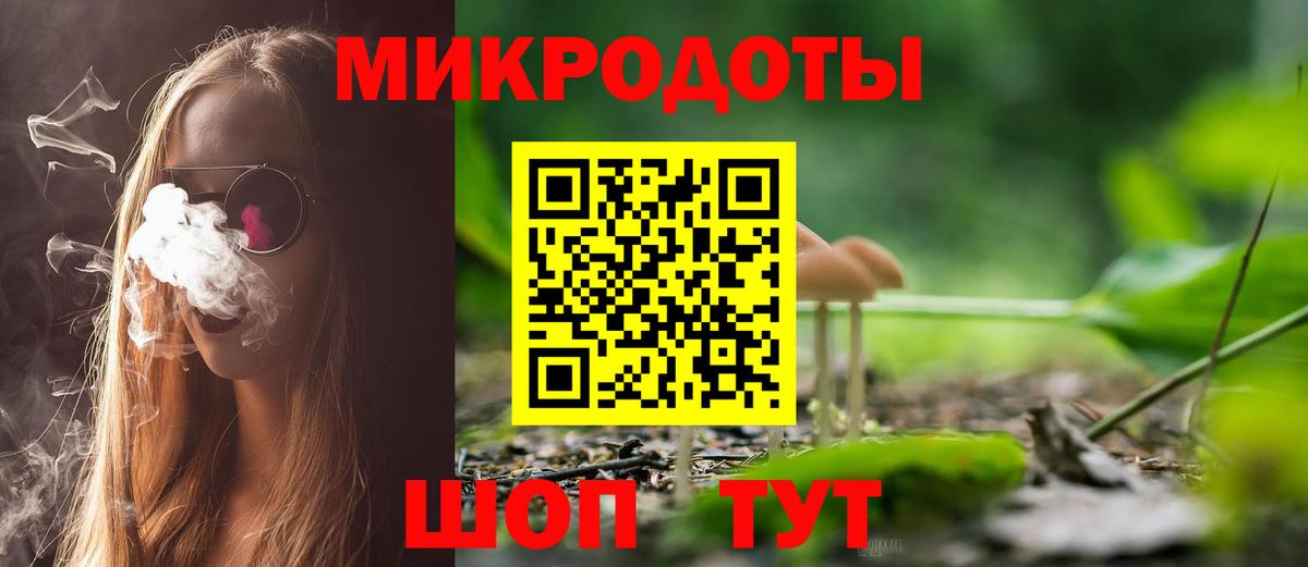 Псилоцибиновые грибы Cubensis Ялта